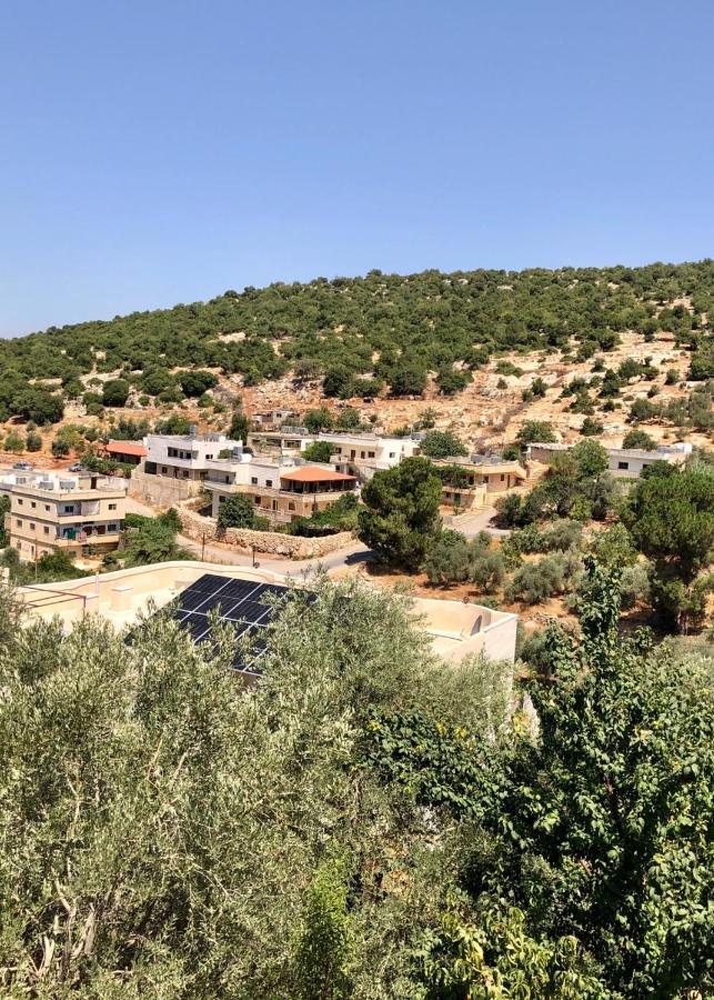 Mhna Guest House ‘Ajlūn Bagian luar foto