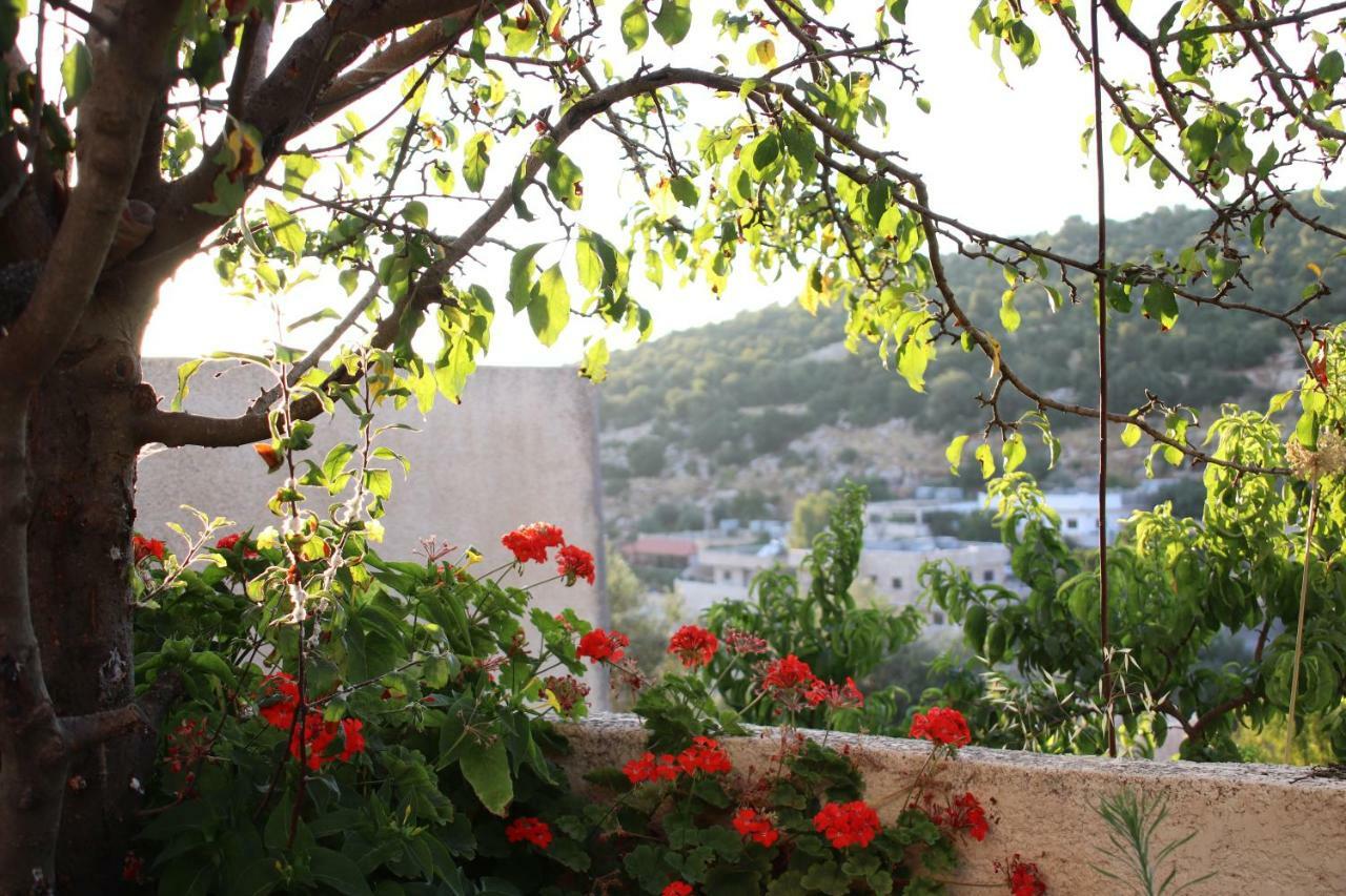 Mhna Guest House ‘Ajlūn Bagian luar foto