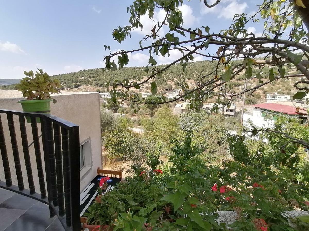 Mhna Guest House ‘Ajlūn Bagian luar foto